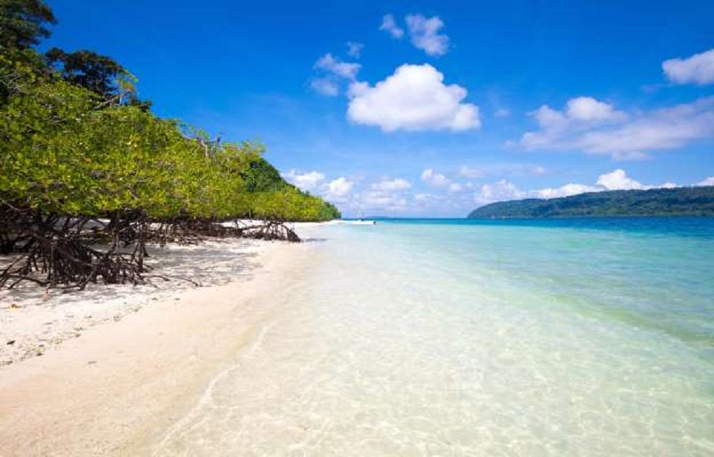 Andaman Tour Package